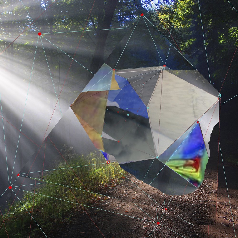 Prisma della Foresta di Luce Solare da Stefan Fransson