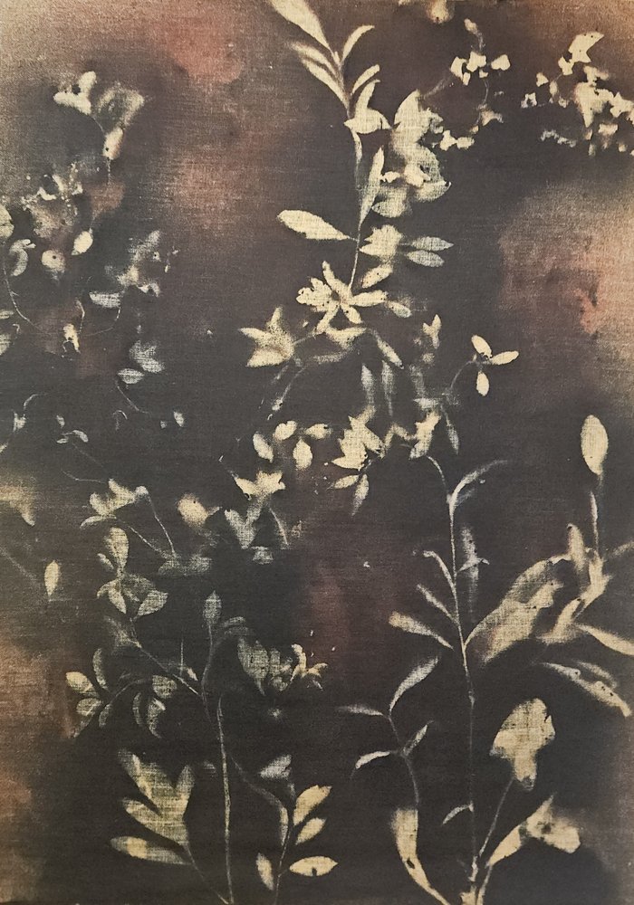 Silhouette botaniche scure da Stefano Mazzolini