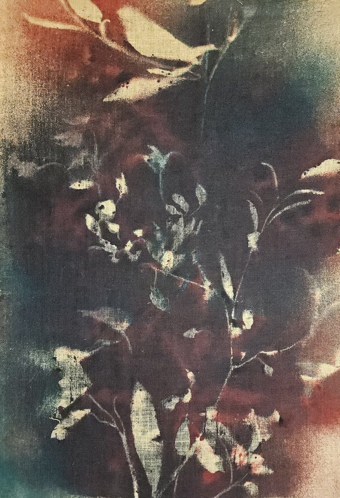 Rami botanici suggestivi da Stefano Mazzolini