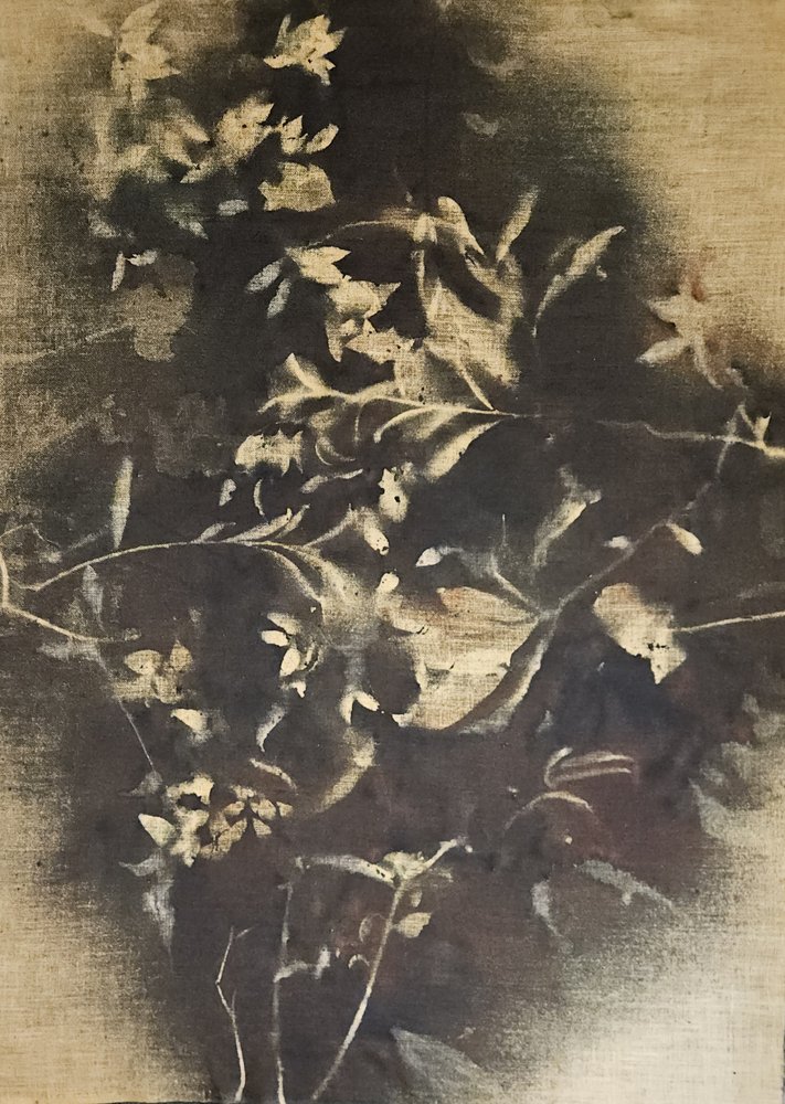 Ombre floreali suggestive da Stefano Mazzolini