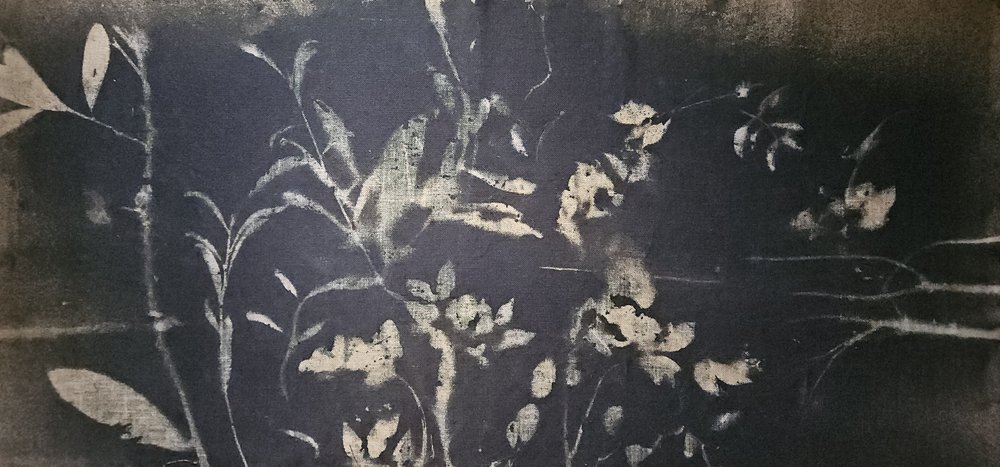 Fioritura nel giardino d