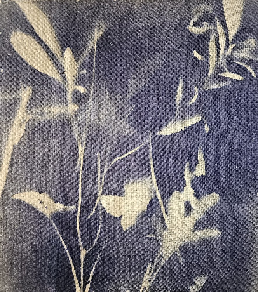 Blu botanici vintage da Stefano Mazzolini