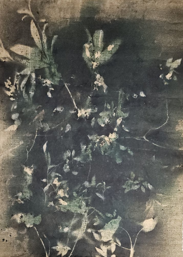 Ombre botaniche vintage da Stefano Mazzolini