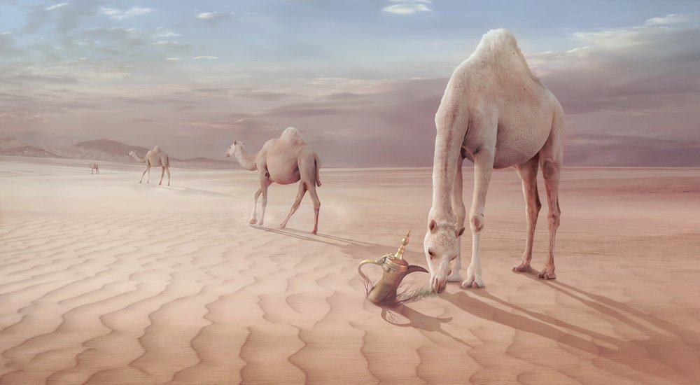  da Sulaiman Almawash