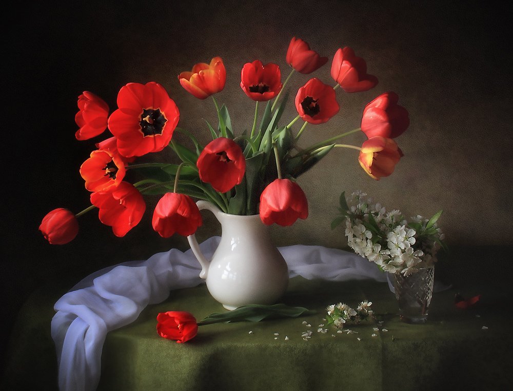 Tulipani rossi vivaci da Tatyana Skorokhod