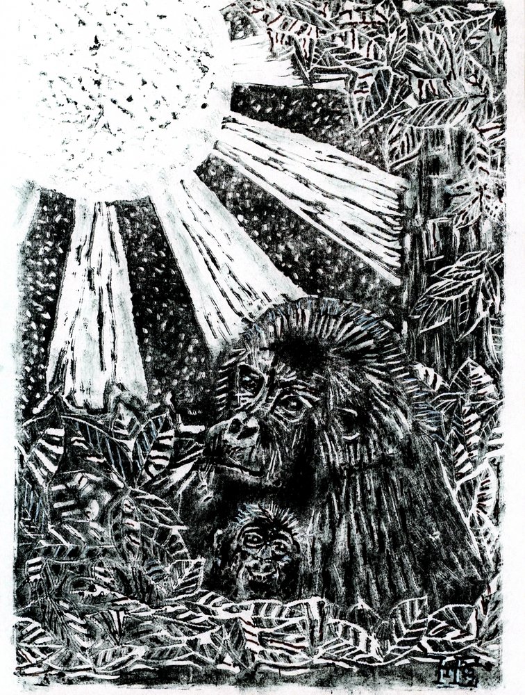 La famiglia dei gorilla della giungla da Tim Hoinkis