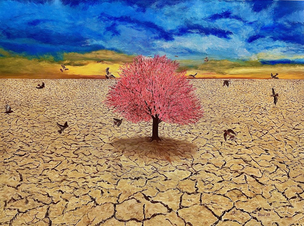 Albero rosa, cielo del deserto da Tom Blood