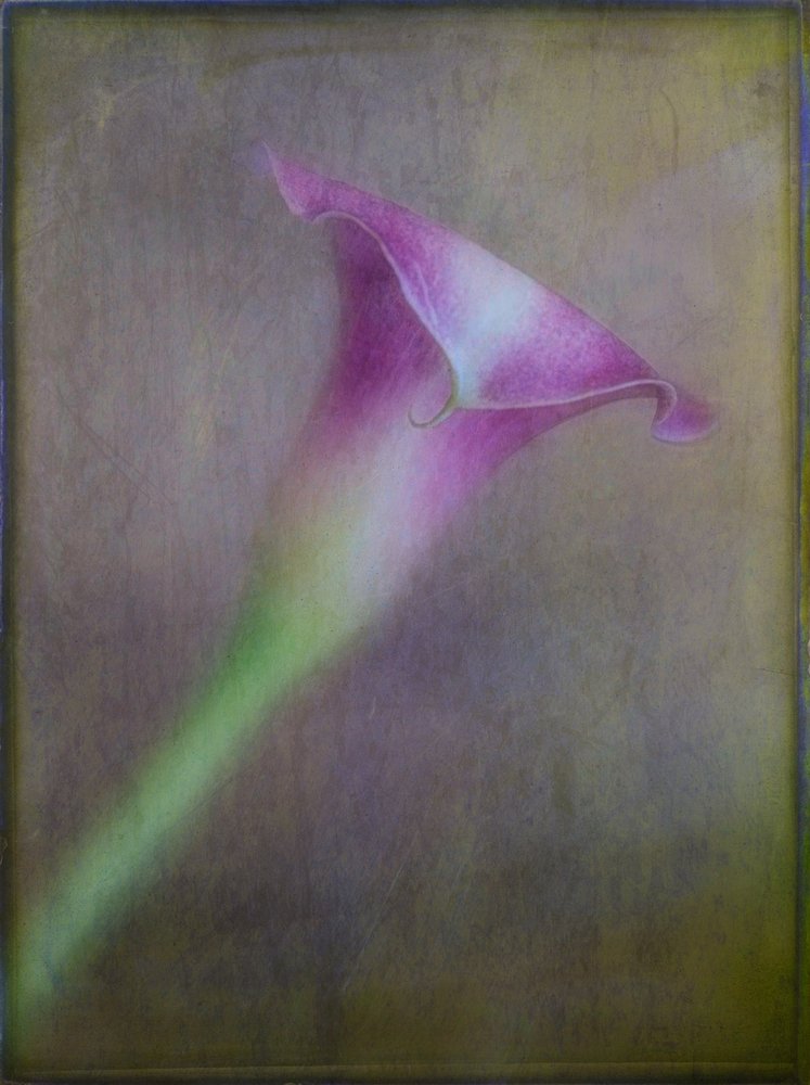 Calla viola da sogno da Ulrike Eisenmann