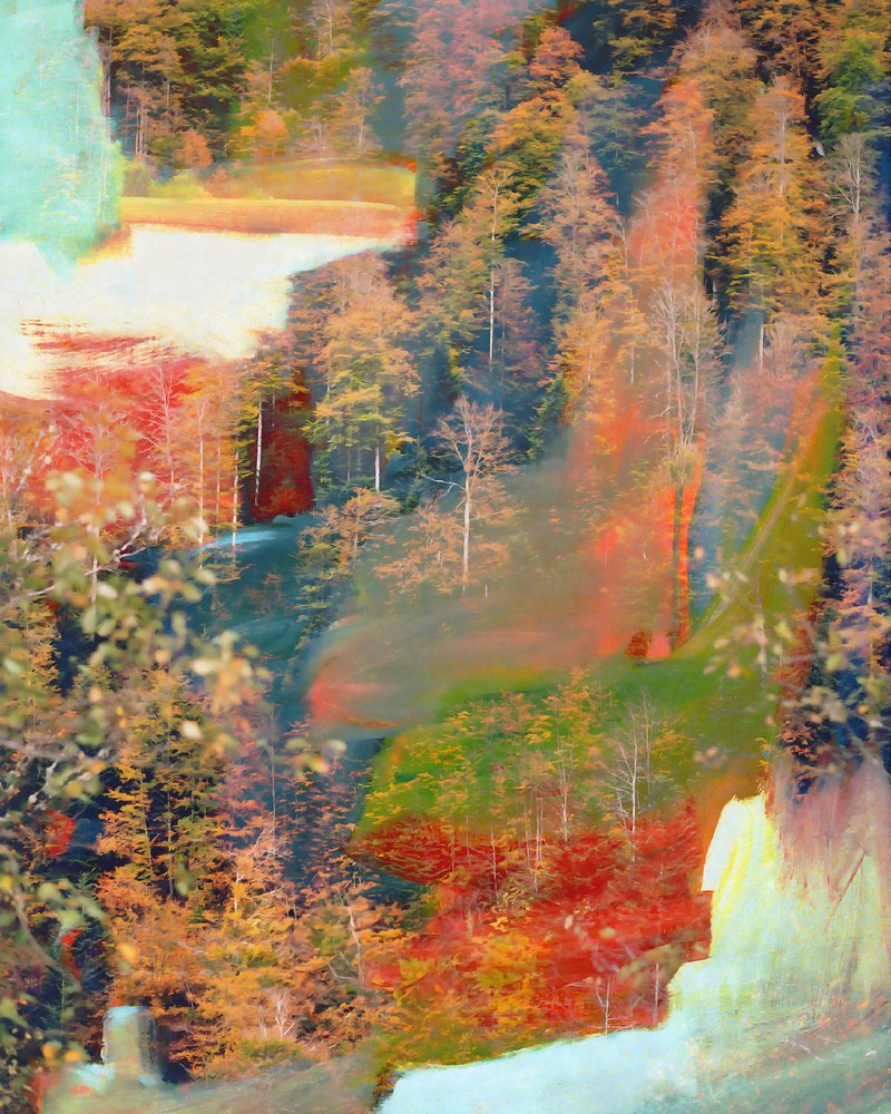 Abstract: Sogno nella foresta autunnale da Uma Gokhale