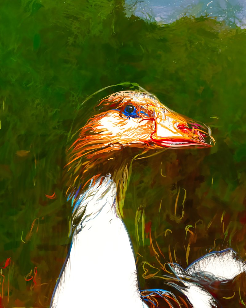 Ritratto di oca dai colori vivaci da Uma Gokhale
