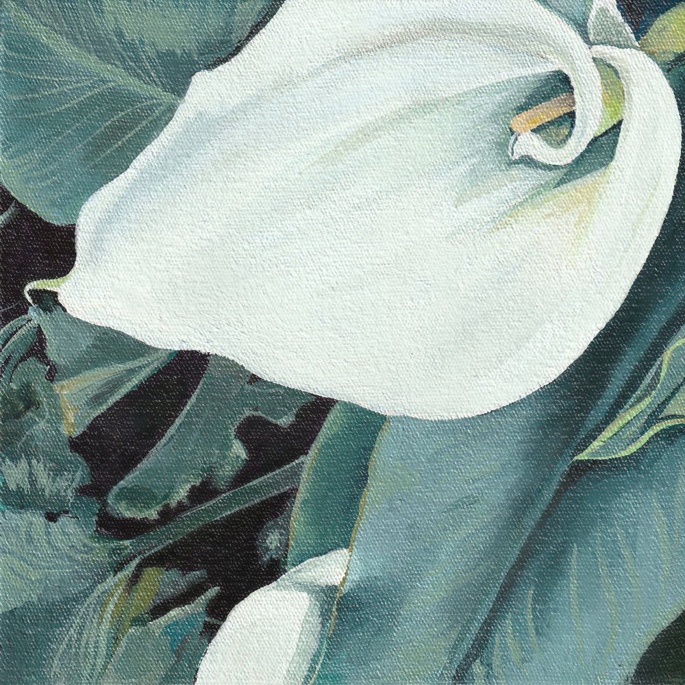 Elegante calla bianca da Viccy Wanliss