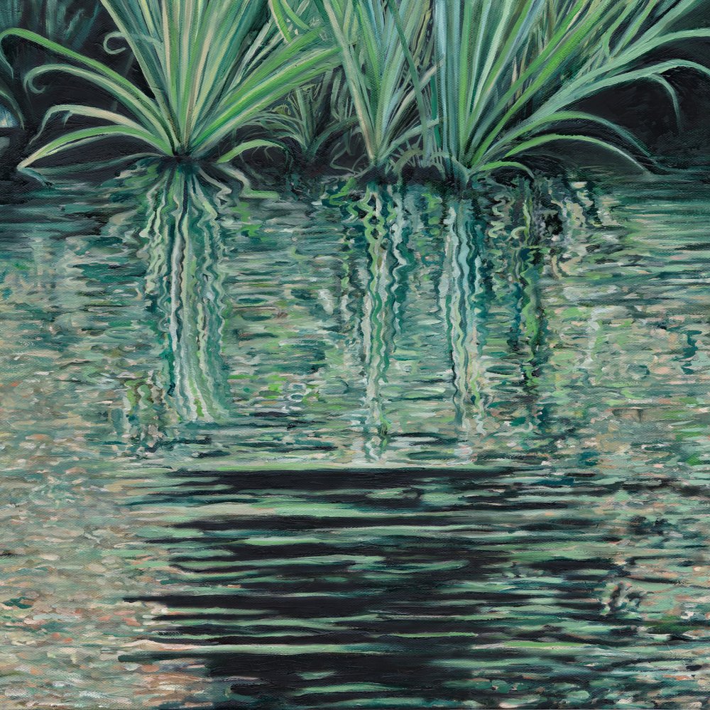 Riflessi sull