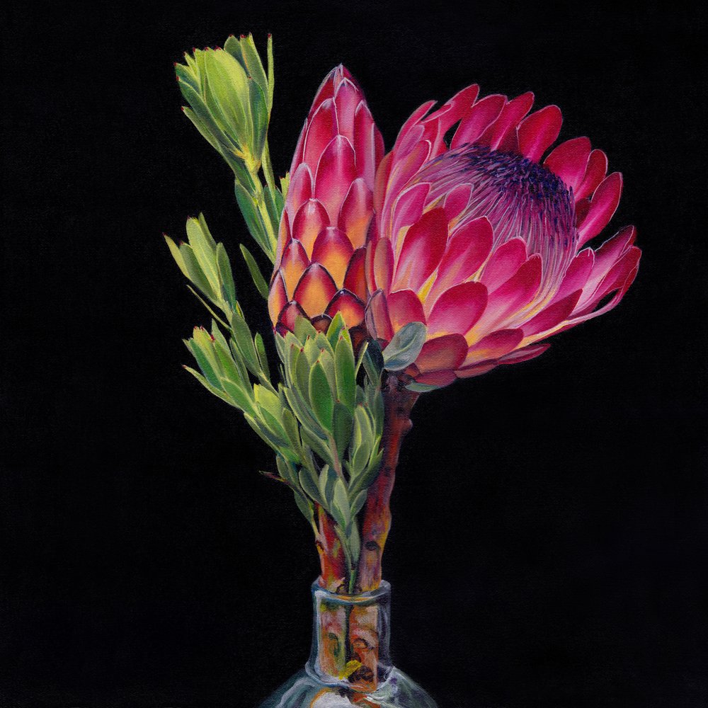 Vasi Pink Protea da Viccy Wanliss