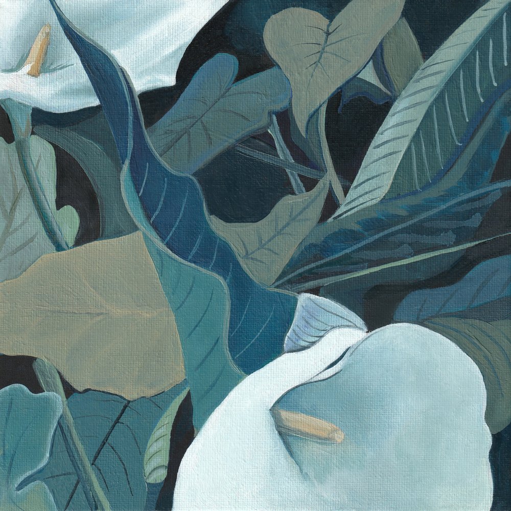Calla serene da Viccy Wanliss