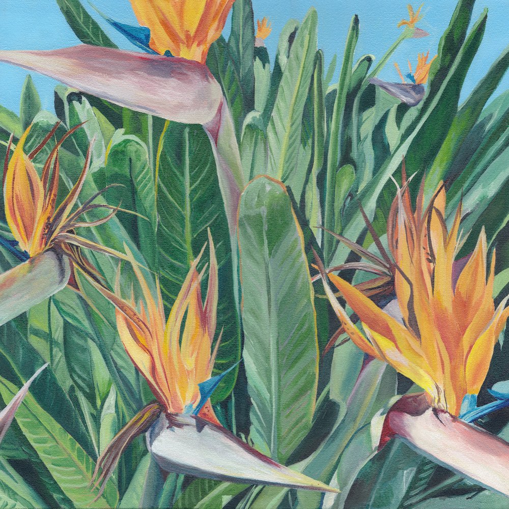 Un vivace uccello del paradiso da Viccy Wanliss