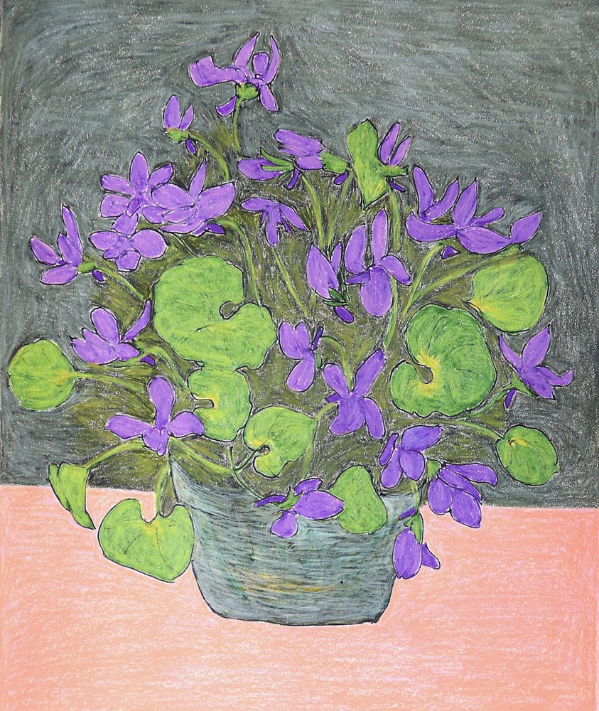 Violette viola in vaso da Viktoriia Saunina