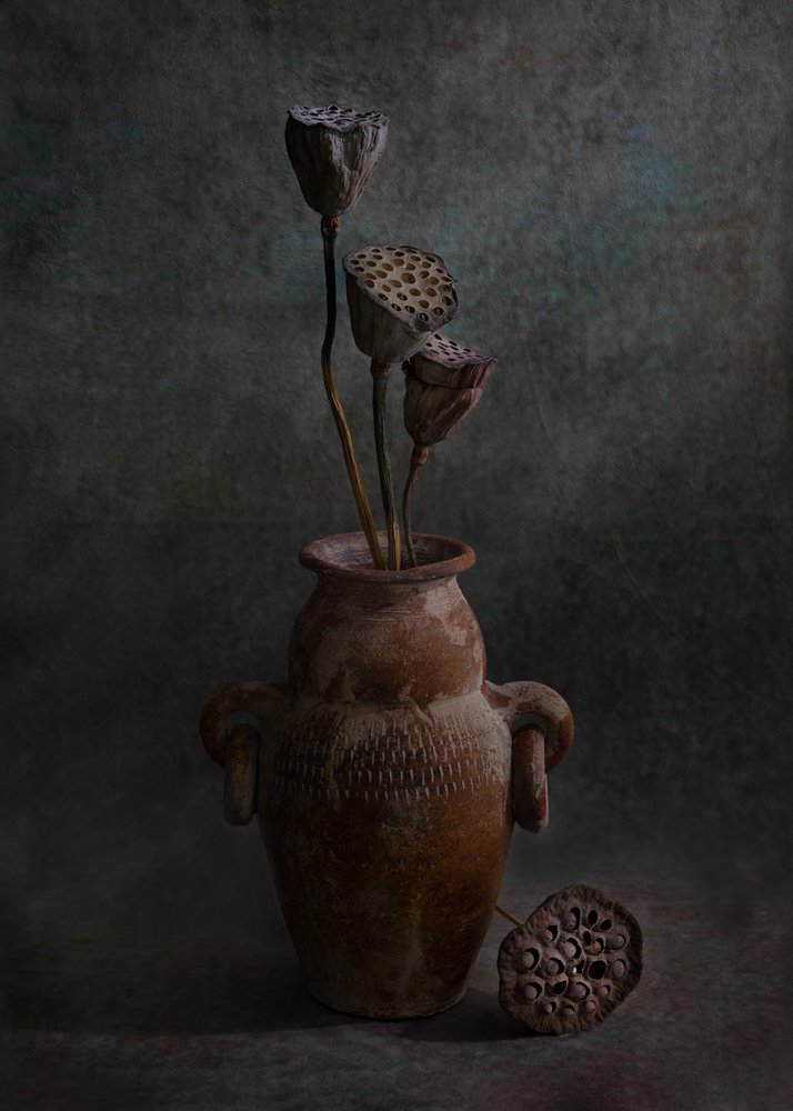  da Wendy Xu