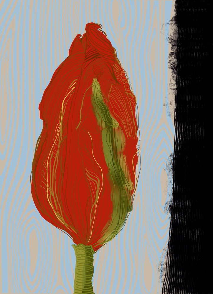 Fioritura rosso vivace da XHOZUCAN