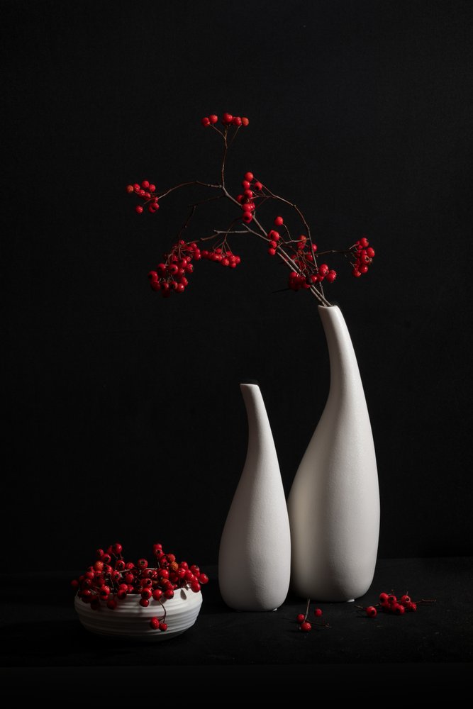 Elegante natura morta con bacche da Xiaoyuan Xu