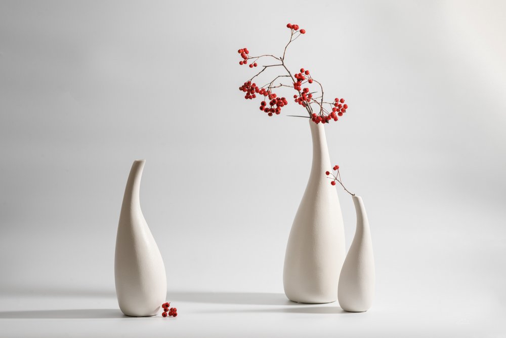Vasi eleganti con bacche rosse da Xiaoyuan Xu