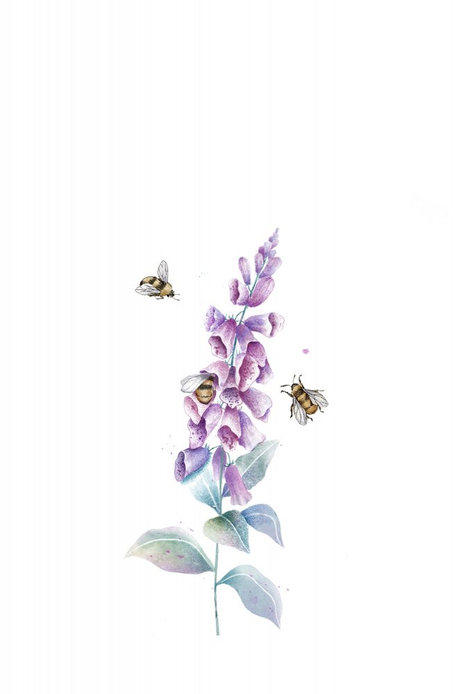 Api e fiori ad acquerello da Xuan Thai