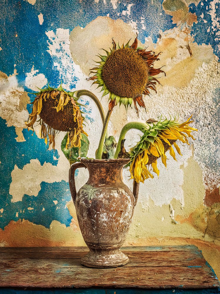 Natura morta con girasoli appassiti da Yasutaka Sameshima
