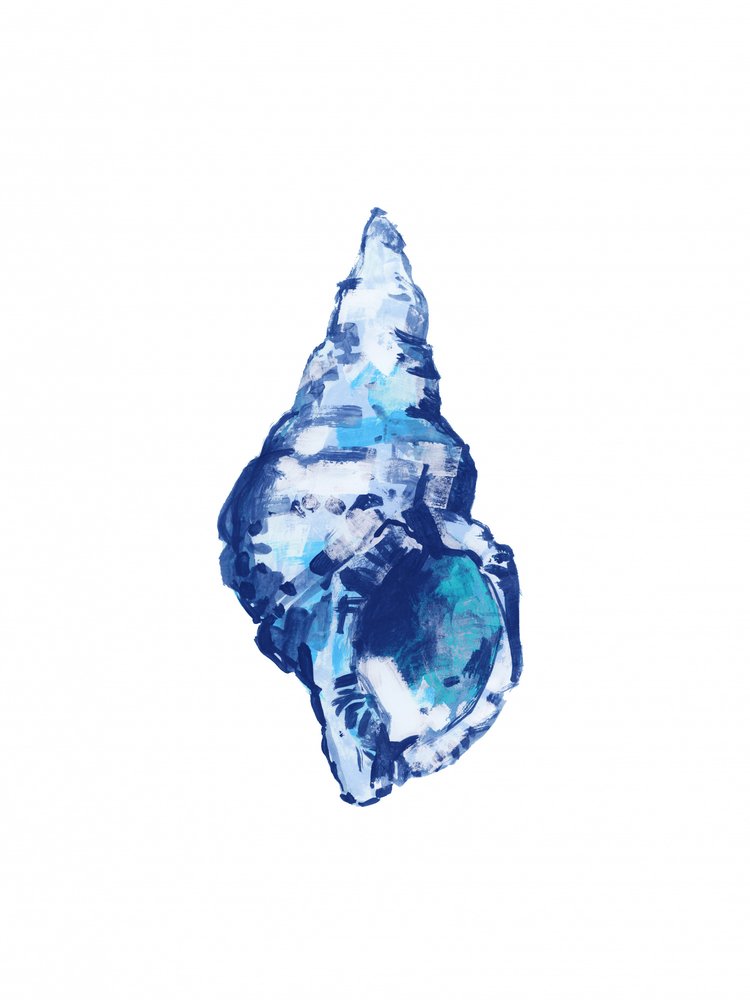 Conchiglia blu astratta da cartissi