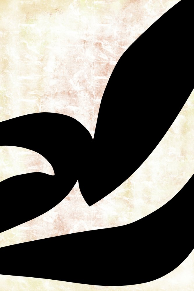 Curve calligrafiche astratte da cartissi