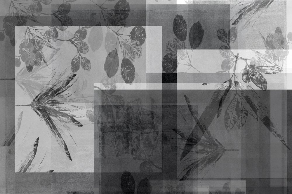 Fogliame grigio astratto da cartissi
