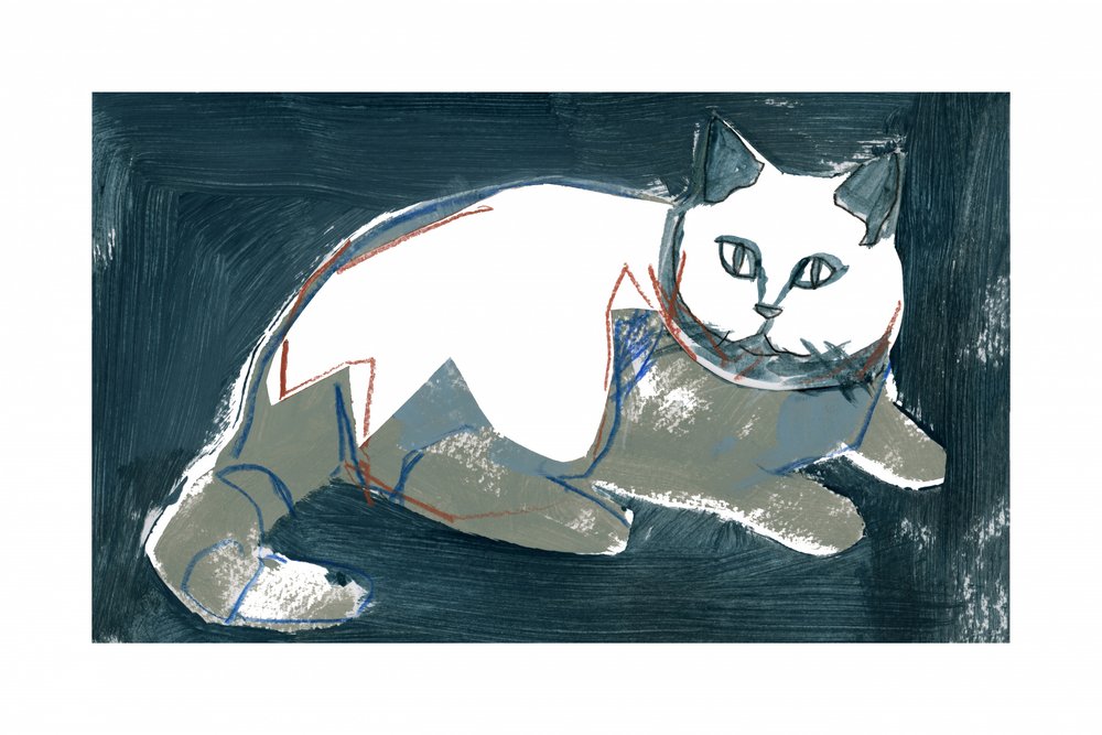 Gatto bianco artistico da cartissi