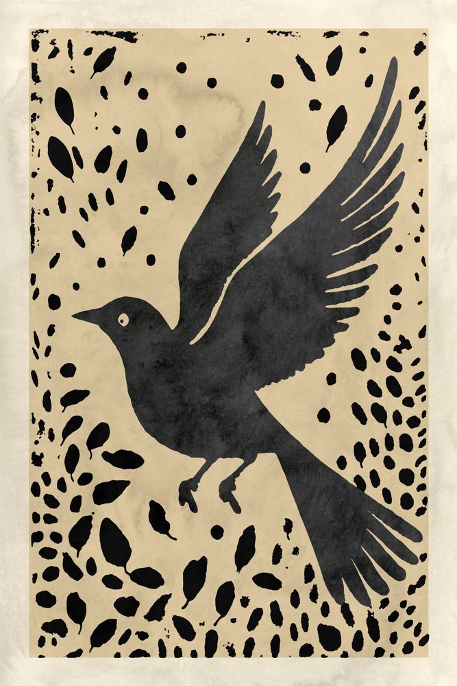 Uccello nero in volo da cartissi