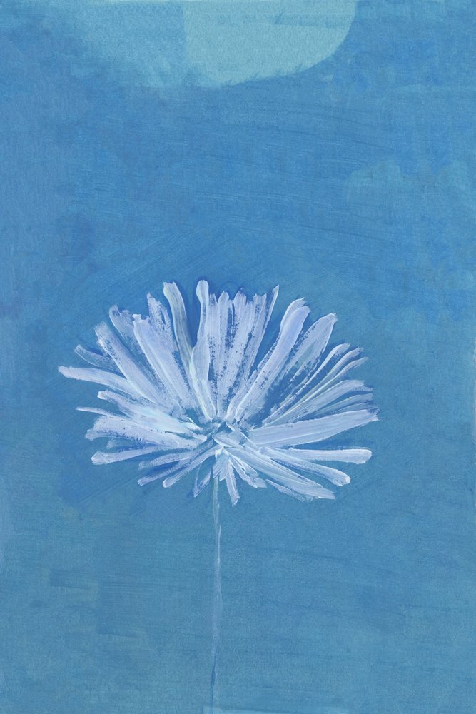 Fiore della Luna Blu da cartissi