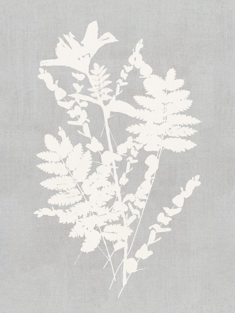 Studio di silhouette botaniche da cartissi