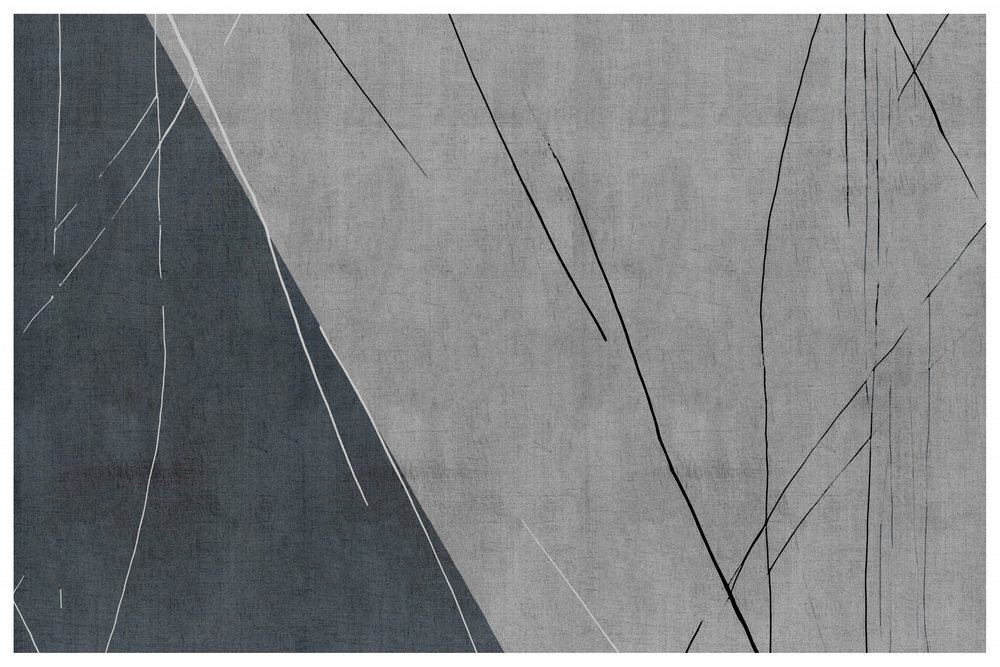 Linee astratte in grigio freddo da cartissi