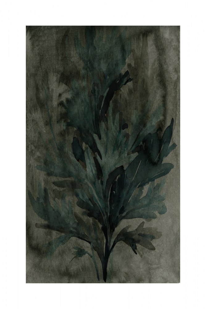 Fogliame di un verde intenso da cartissi