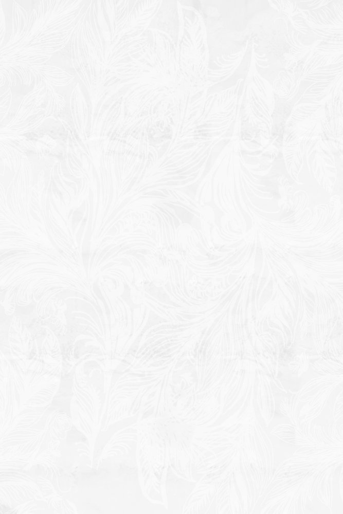 Delicati motivi ghiacciati da cartissi
