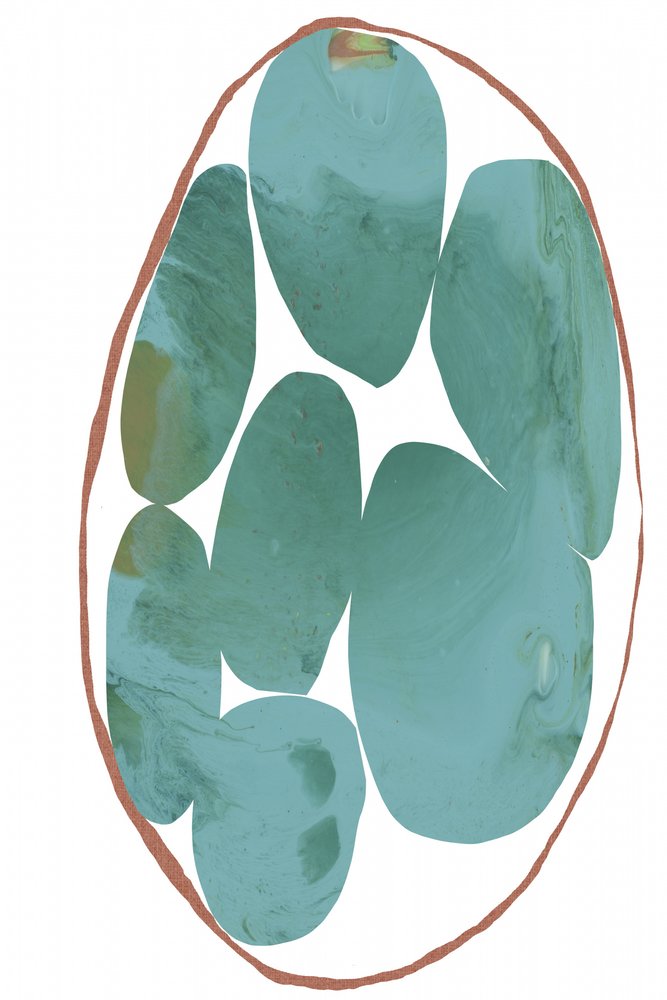 Forme organiche eteree da cartissi