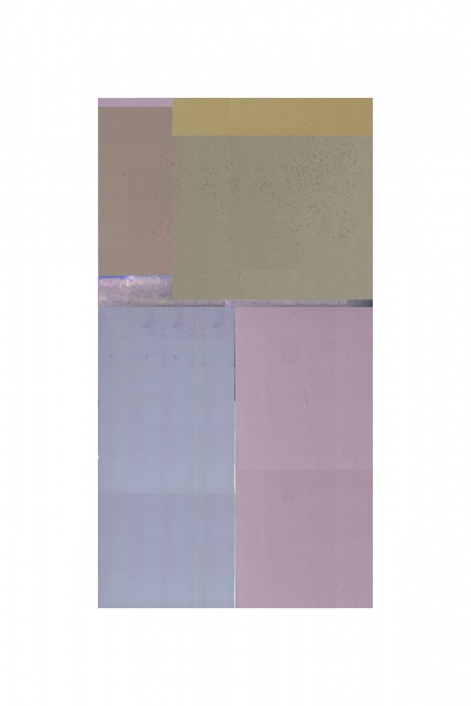 Delicati campi di colore da cartissi