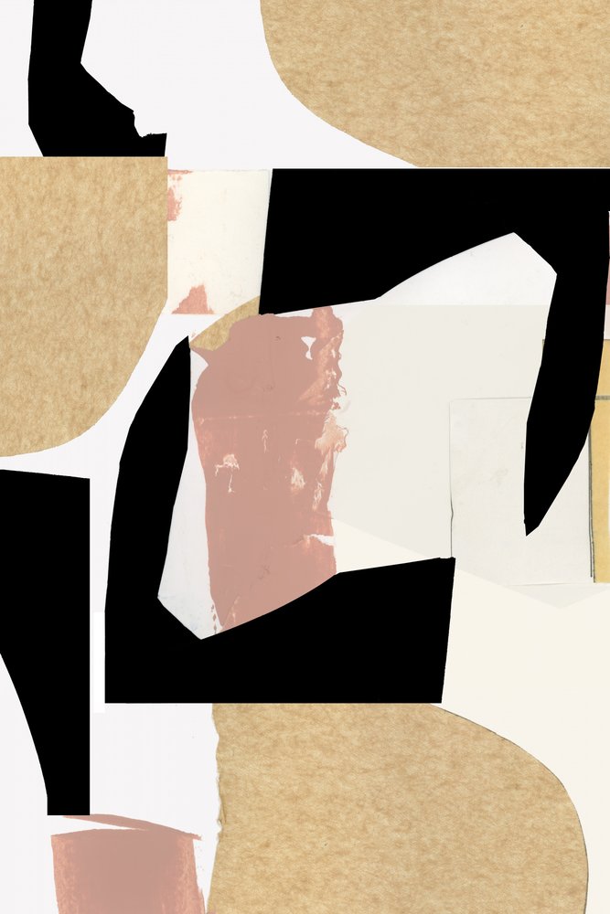 Collage geometrico-organico da cartissi
