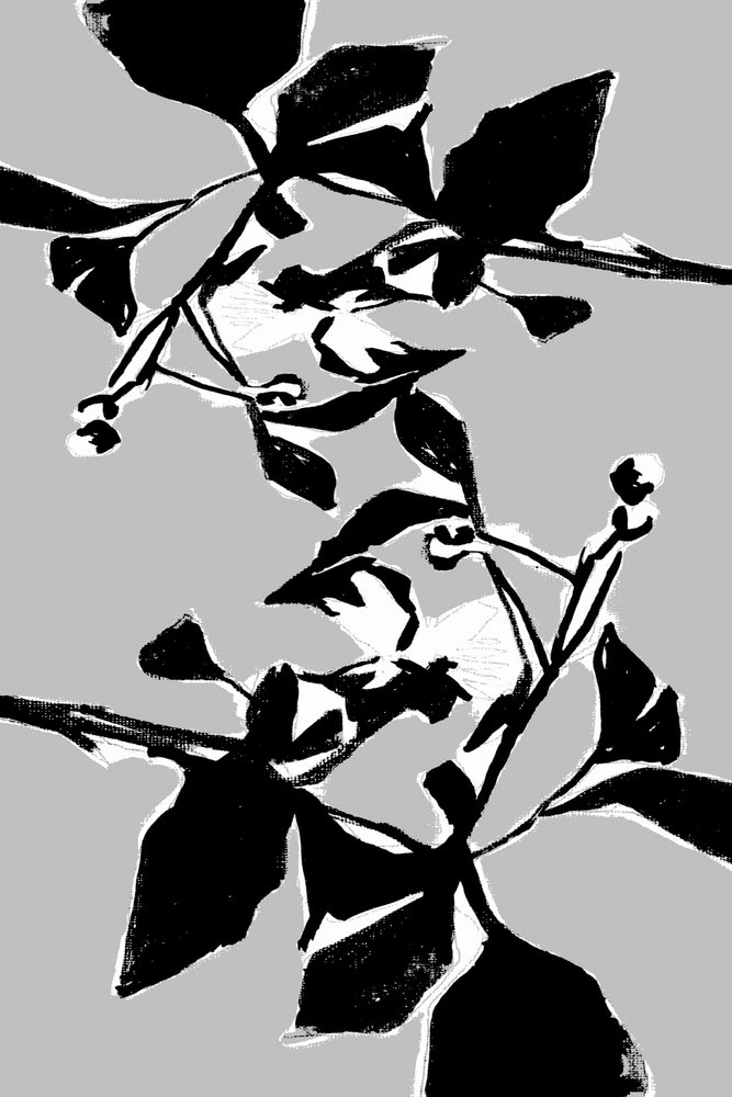 Motivo botanico grafico da cartissi