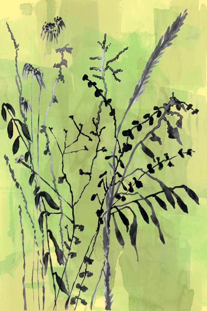 Sagome botaniche verdi da cartissi