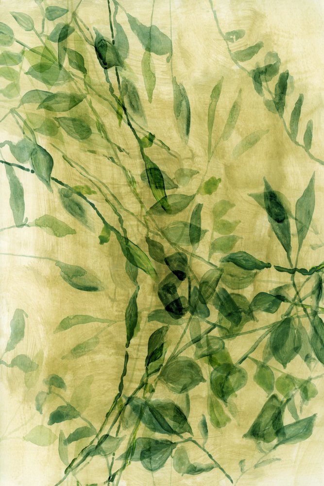 Foglie acquerellate in verde da cartissi