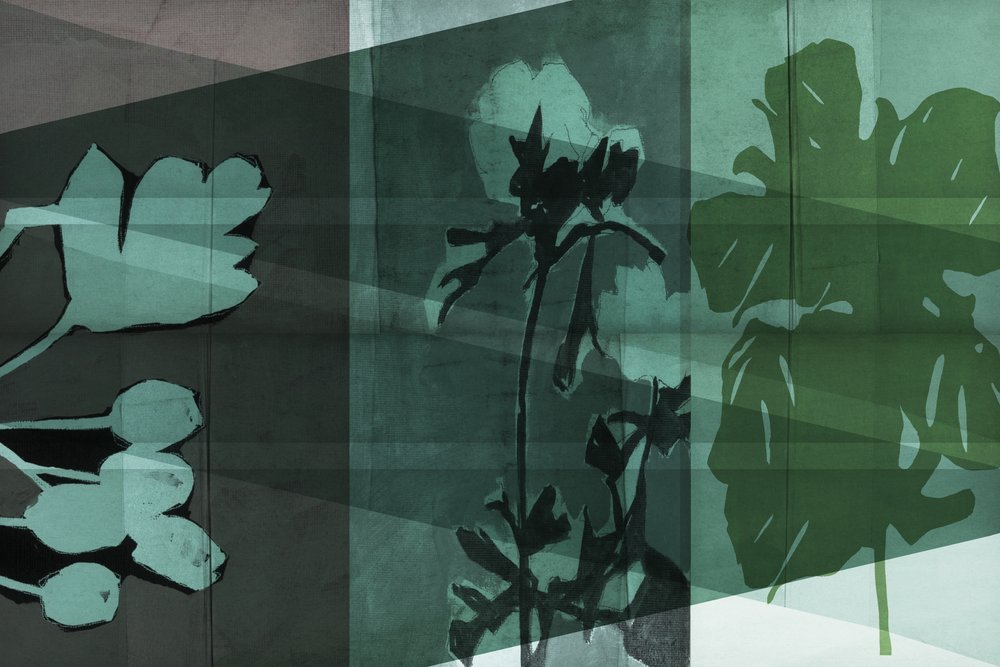 Ombre botaniche a strati da cartissi