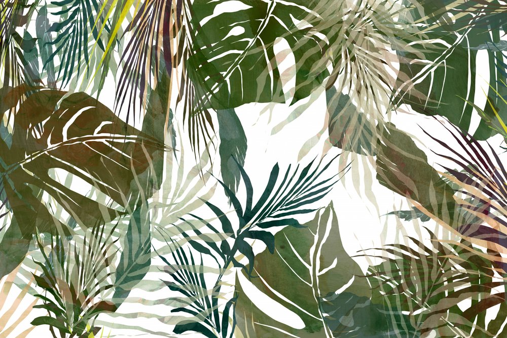  da cartissi