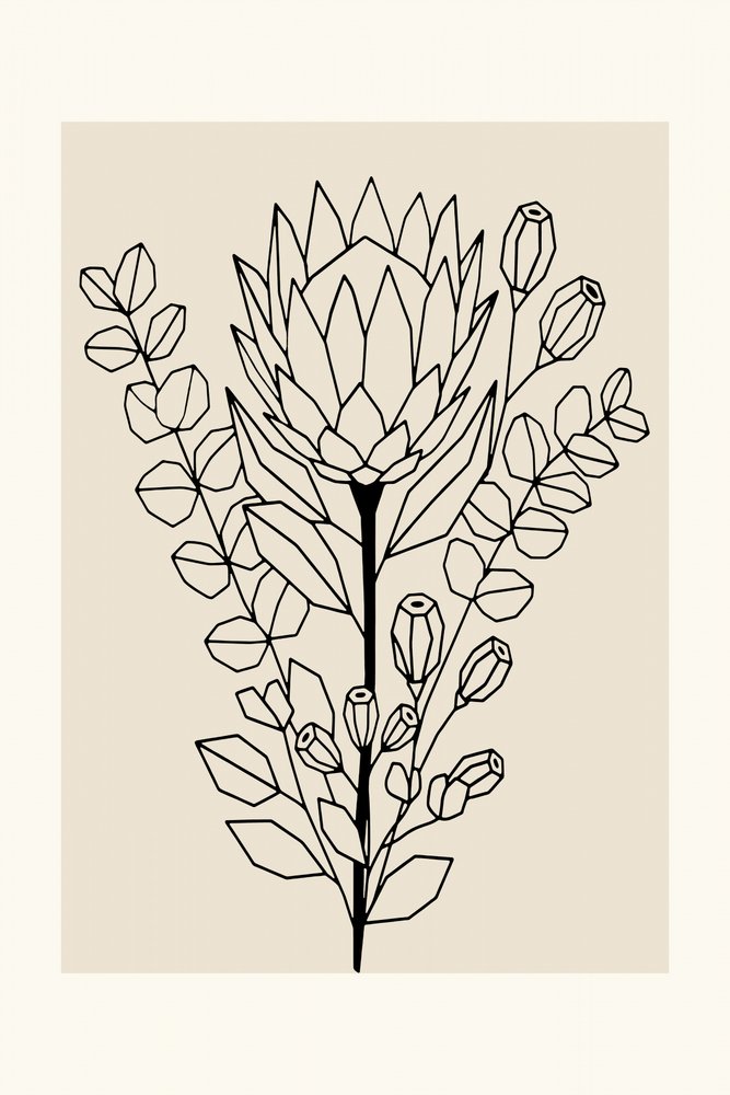 Protea ed eucalipto in stile minimalista da cartissi