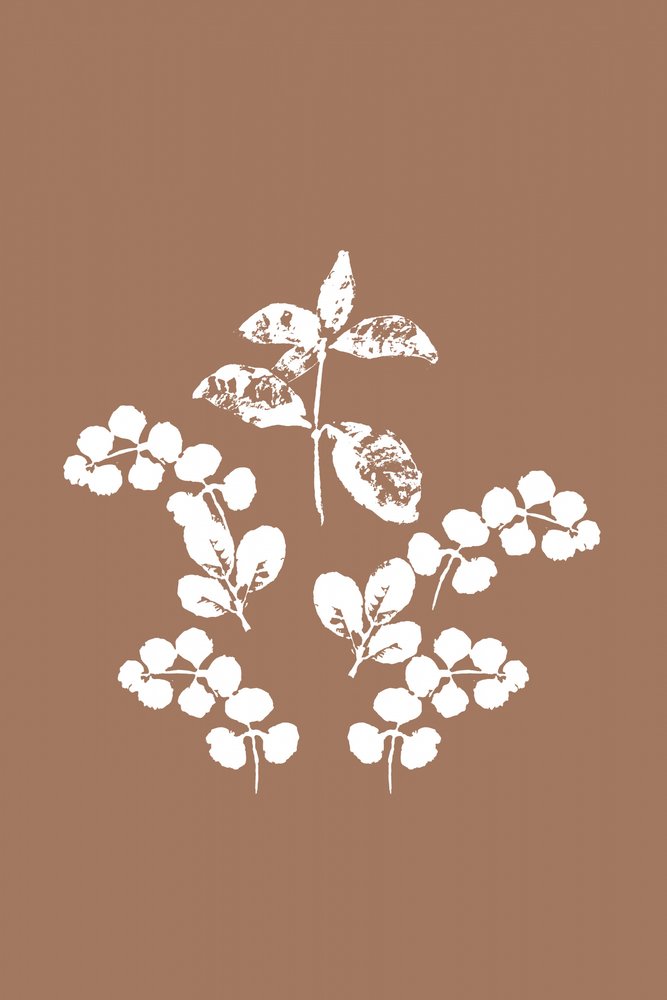 Foglie bianche minimaliste da cartissi