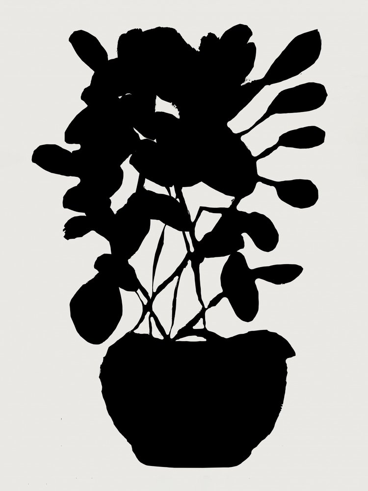 Silhouette botanica moderna da cartissi