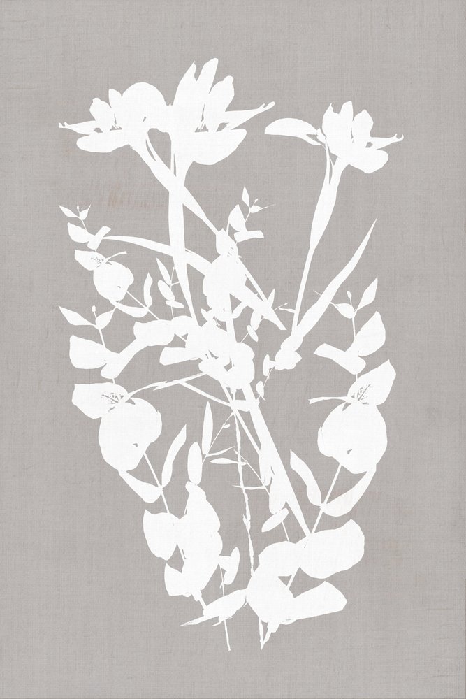 Silhouette botaniche moderne da cartissi