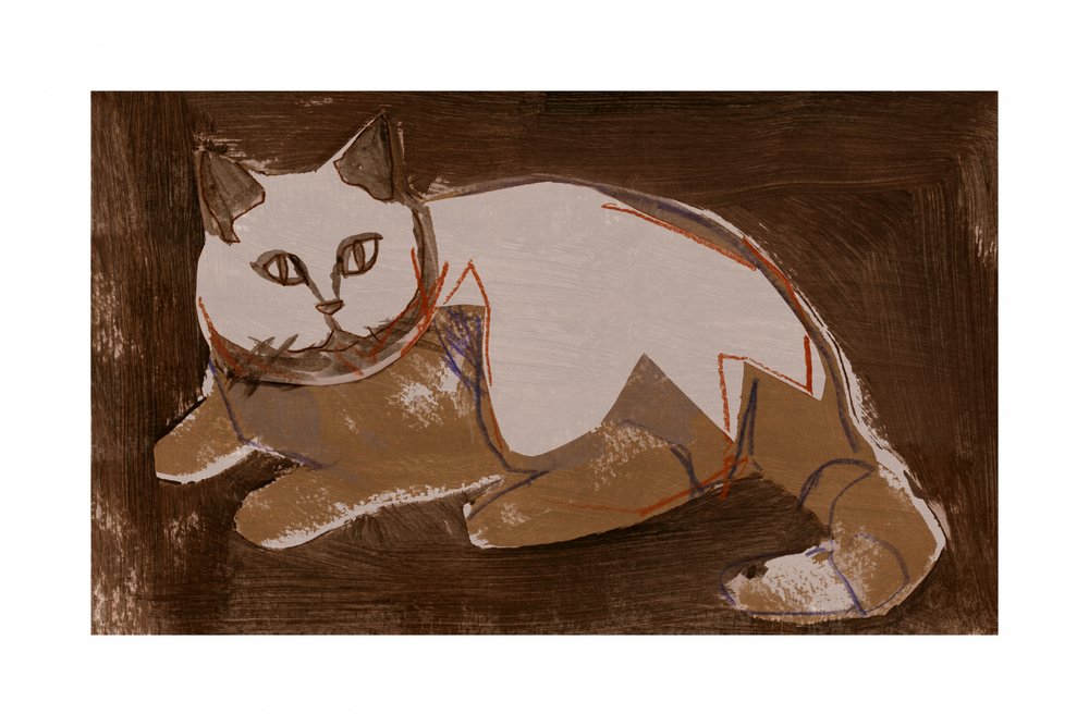 Gatto moderno che riposa da cartissi