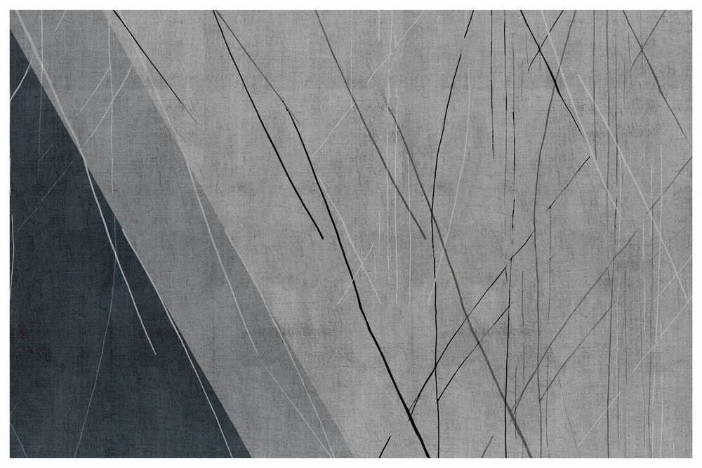 Design lineare moderno nei toni del grigio da cartissi